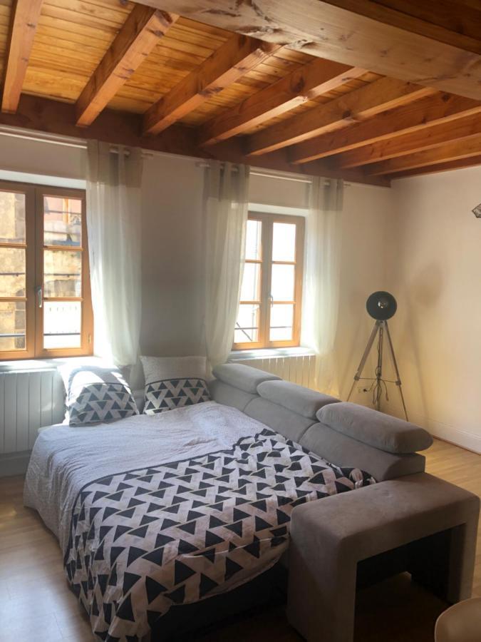 Le Double Pirou # 2 Appartements # Halte Auvergne Thiers Zewnętrze zdjęcie